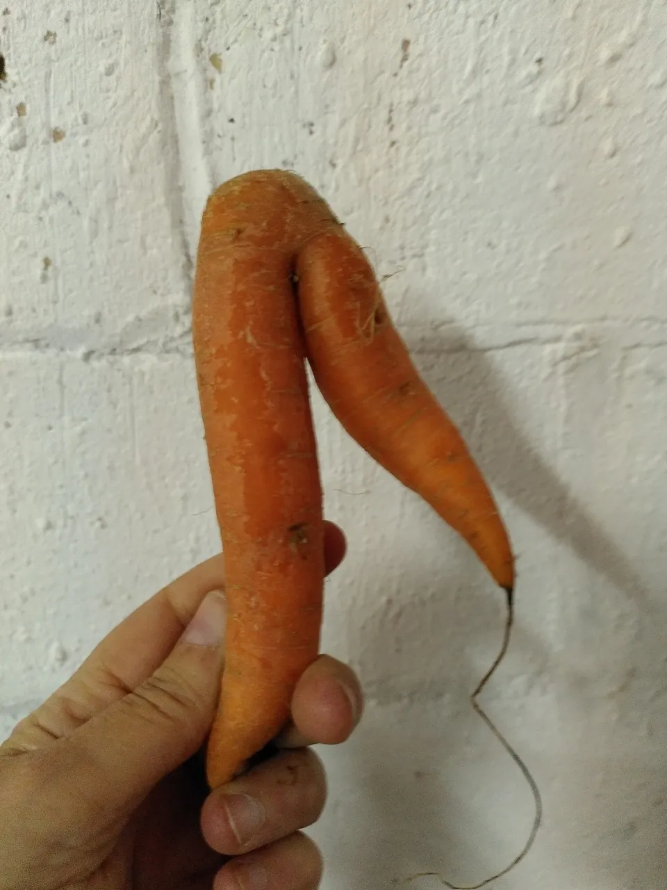 Compra una pieza de fruta que sea (3)