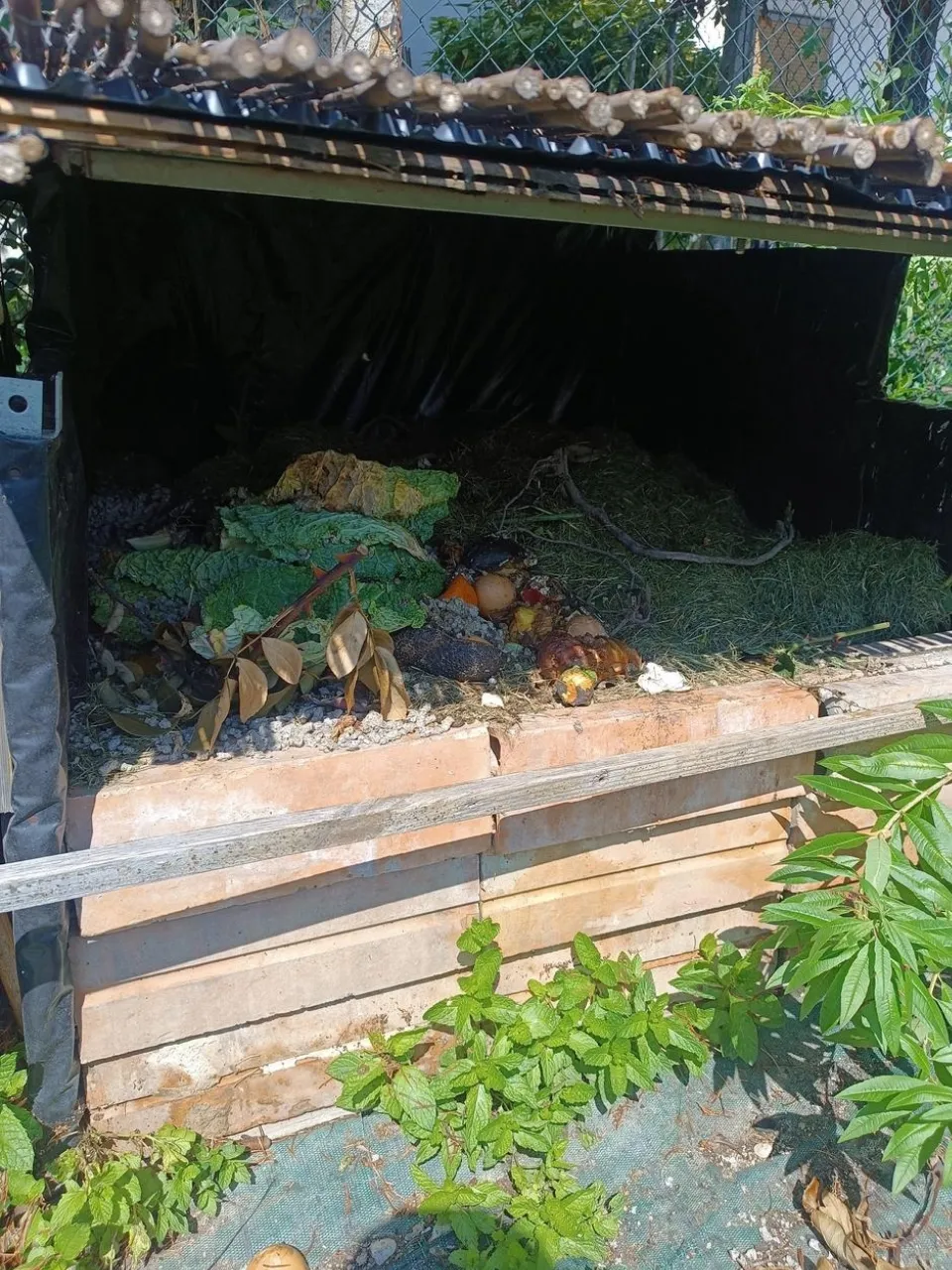 Haz compost casero 1 Comunidad