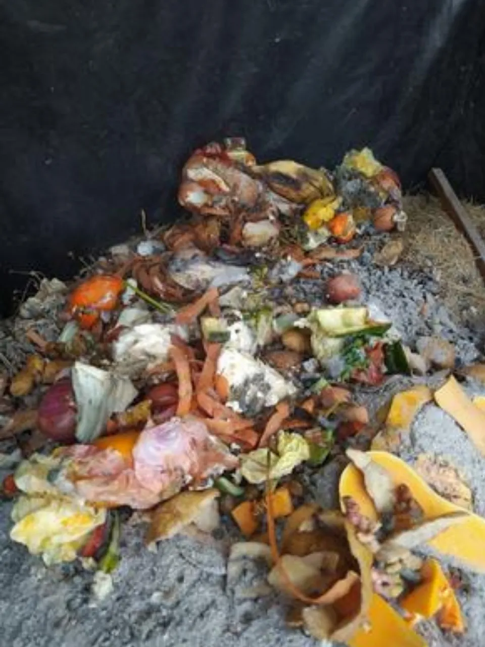 Haz compost casero 3 Comunidad