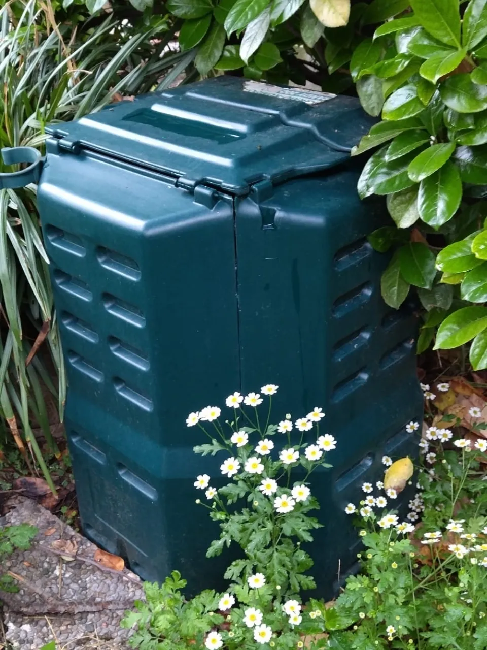 Haz compost casero 4 Comunidad
