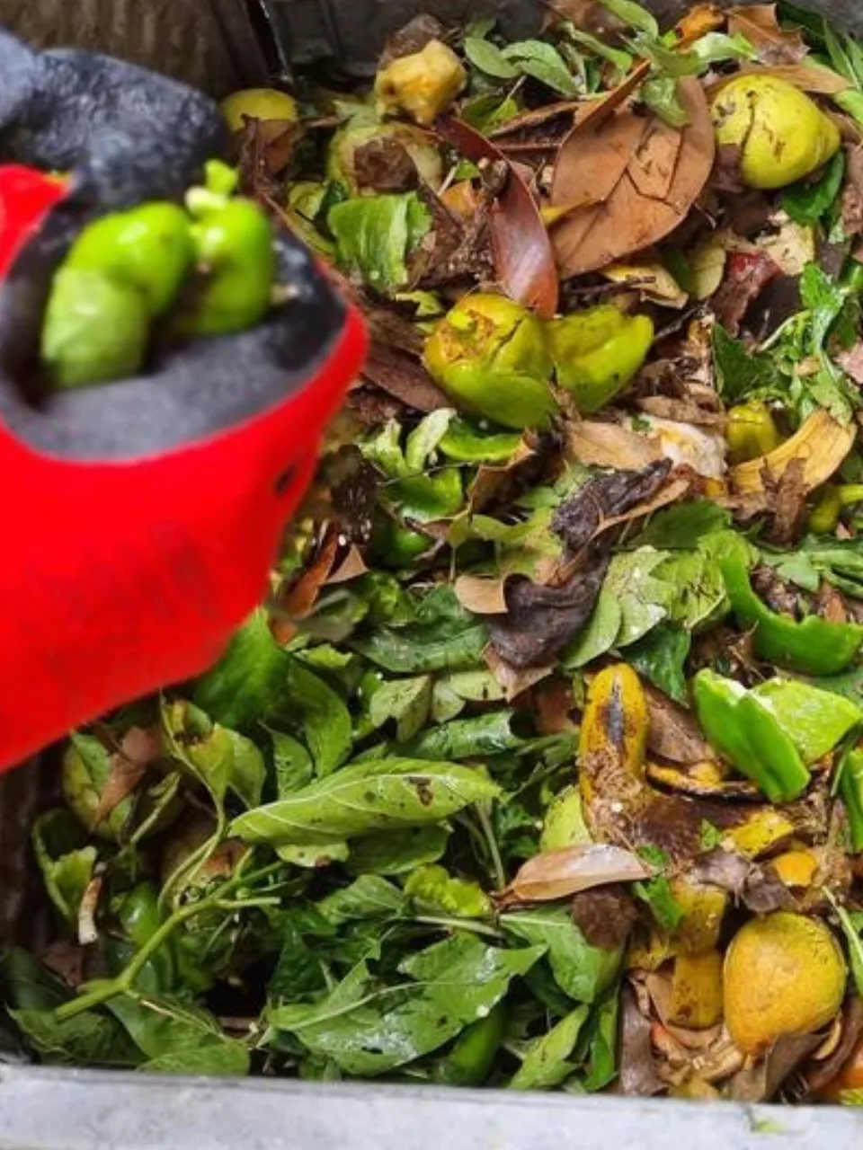 Haz compost casero compost caseroplo 2 Comunidad