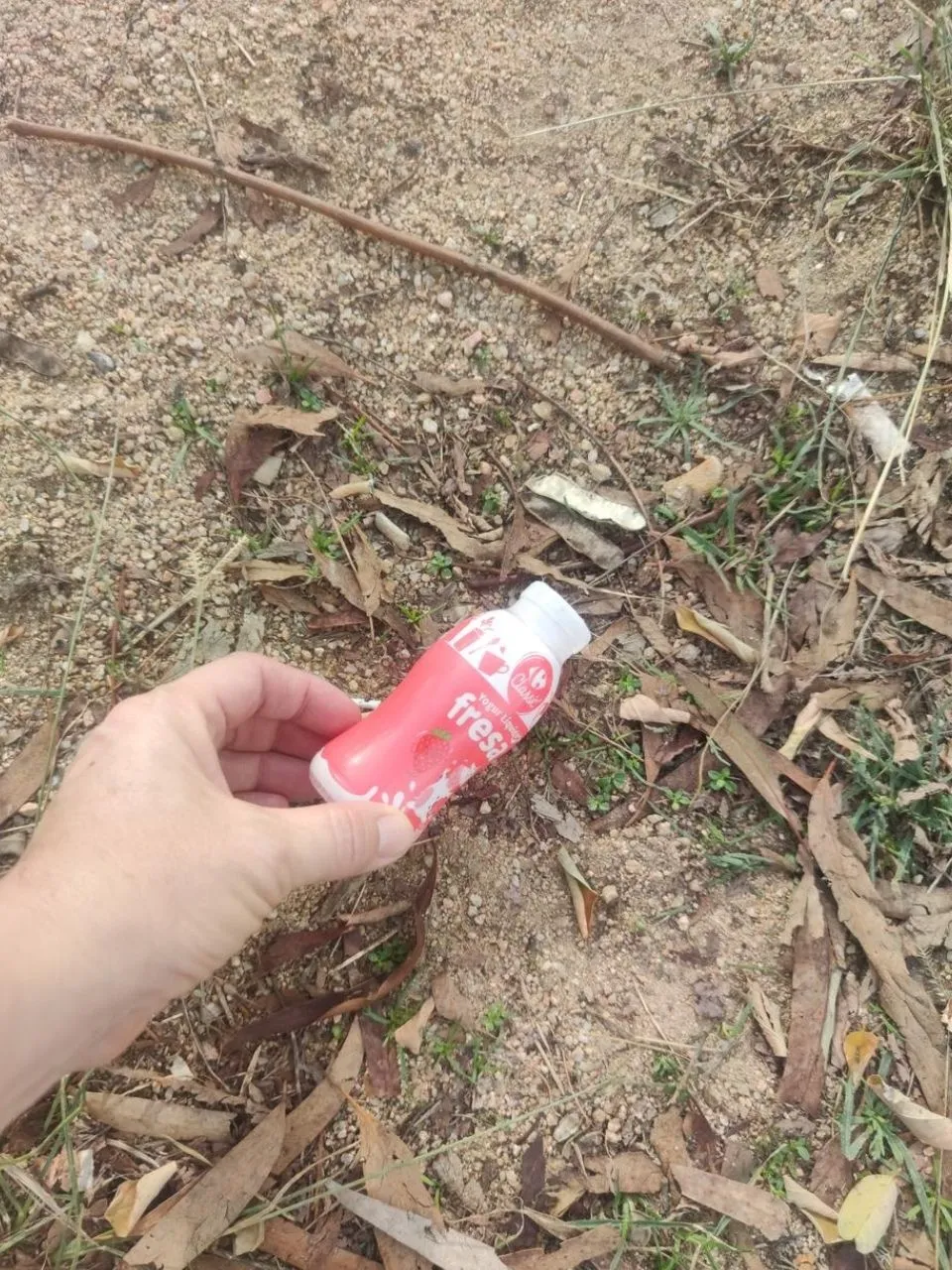 Recoge tres residuos que veas en la playa o en el bosque 1 Comunidad