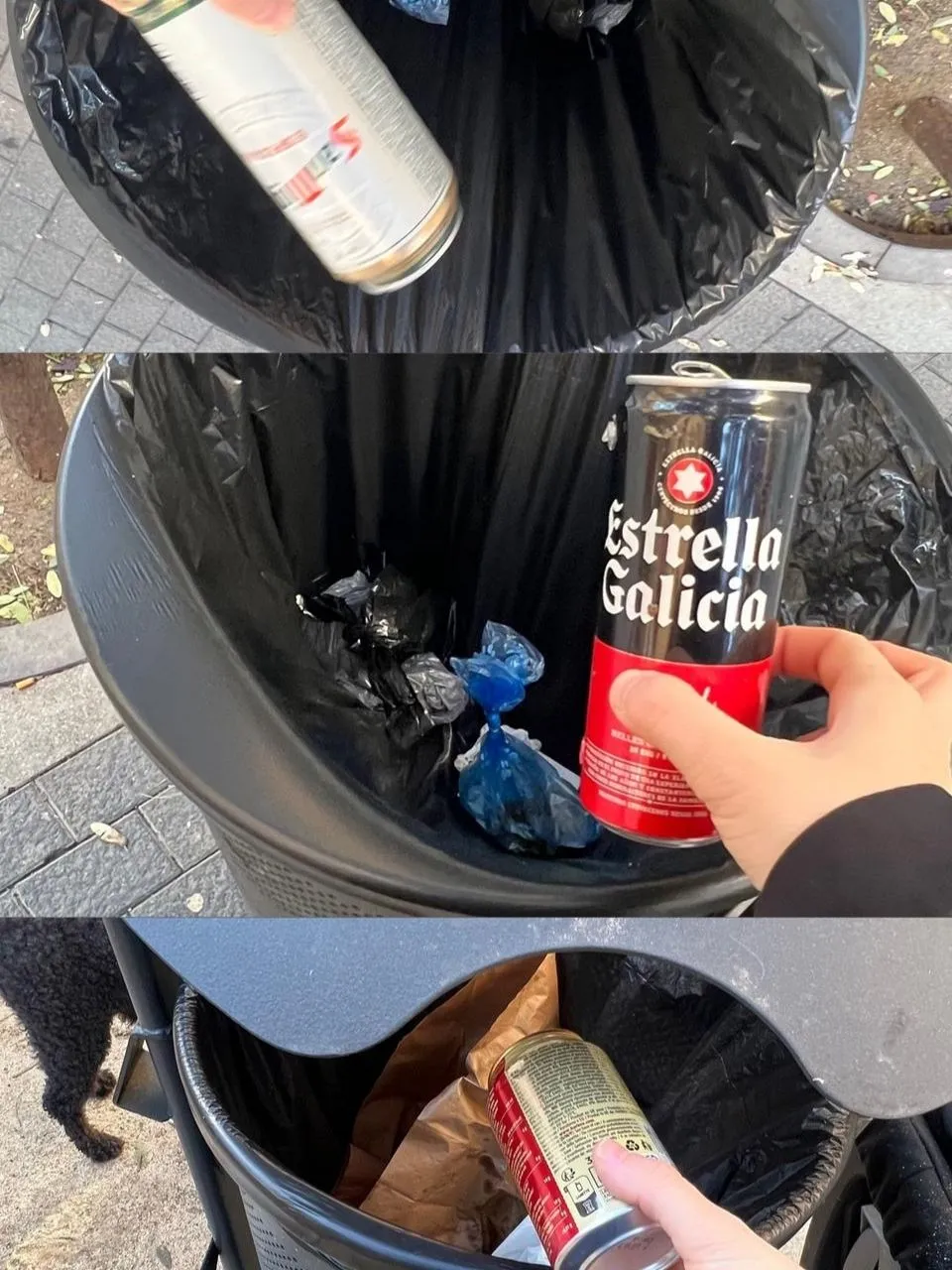 Recoge tres residuos que veas en la playa o en el bosque 4 Comunidad